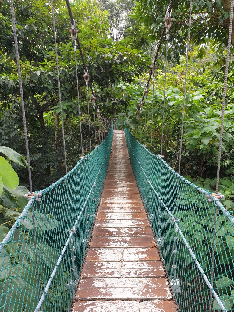Malaysia - Kuala Lumpur - Sehenswürdigkeiten - KL Forest Eco Park