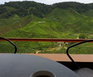 Malaysia - Cameron Highlands - Sehenswürdigkeiten - Bharat Teeplantage
