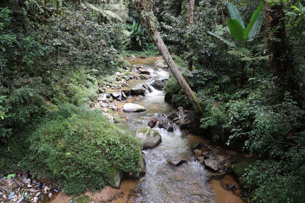 Malaysia - Cameron Highlands - Sehenswürdigkeiten - Parit Waterfalls