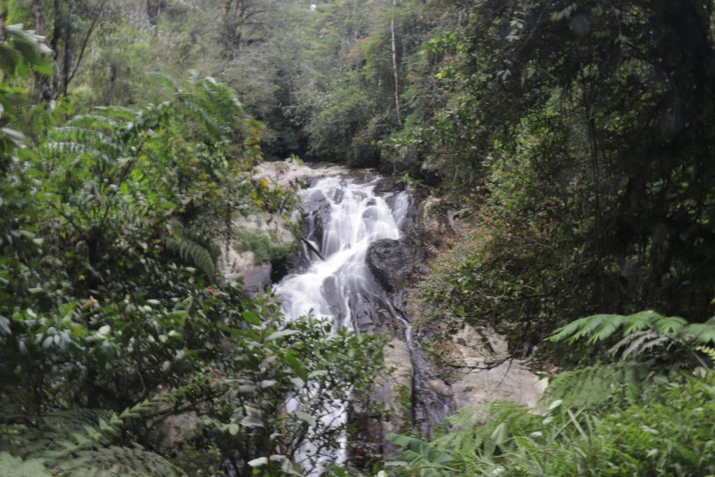 Malaysia - Cameron Highlands - Sehenswürdigkeiten - Robinson Waterfalls