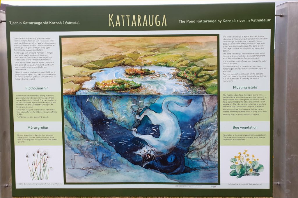 Island - Der Norden - Kattarauga