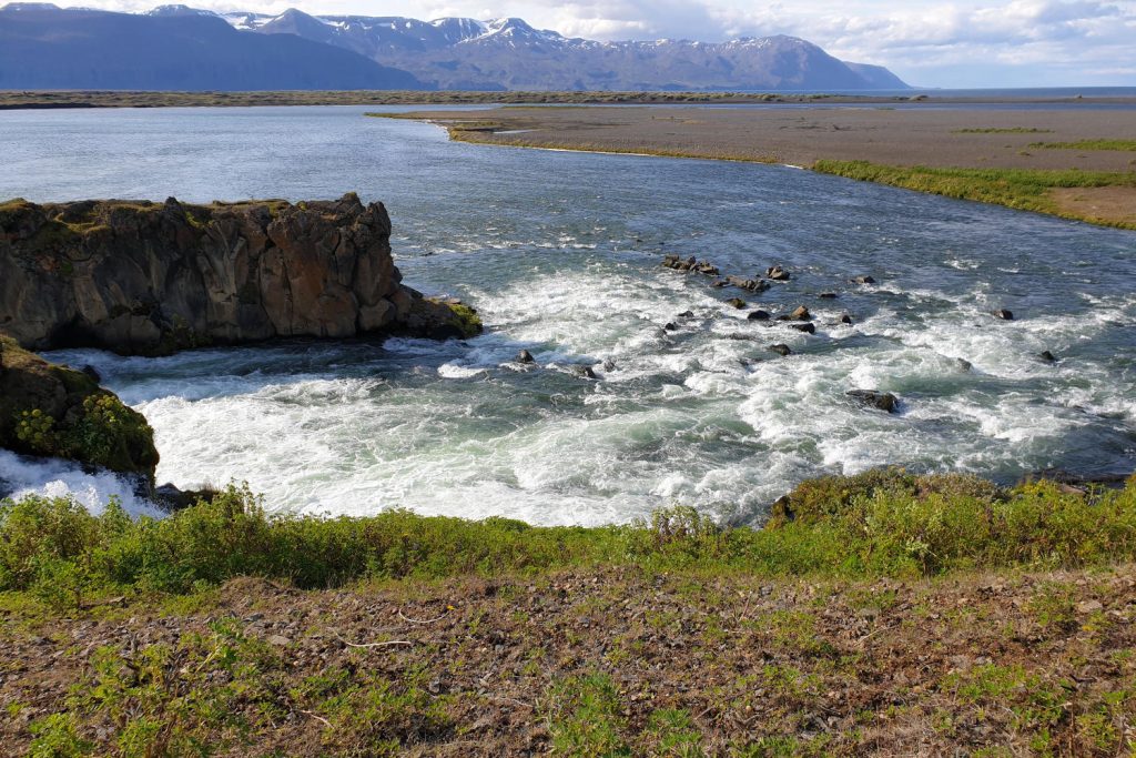 Island - Der Norden - Eiderentenwasserfall