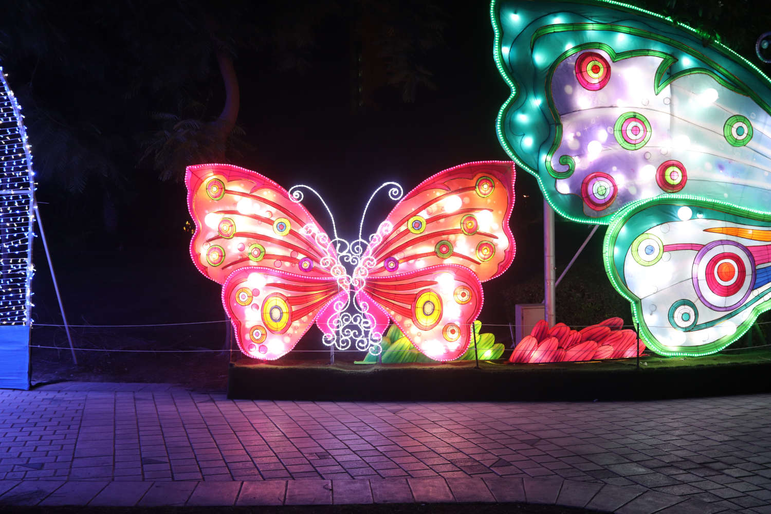 VAE - Dubai - Garden Glow - Schmetterling