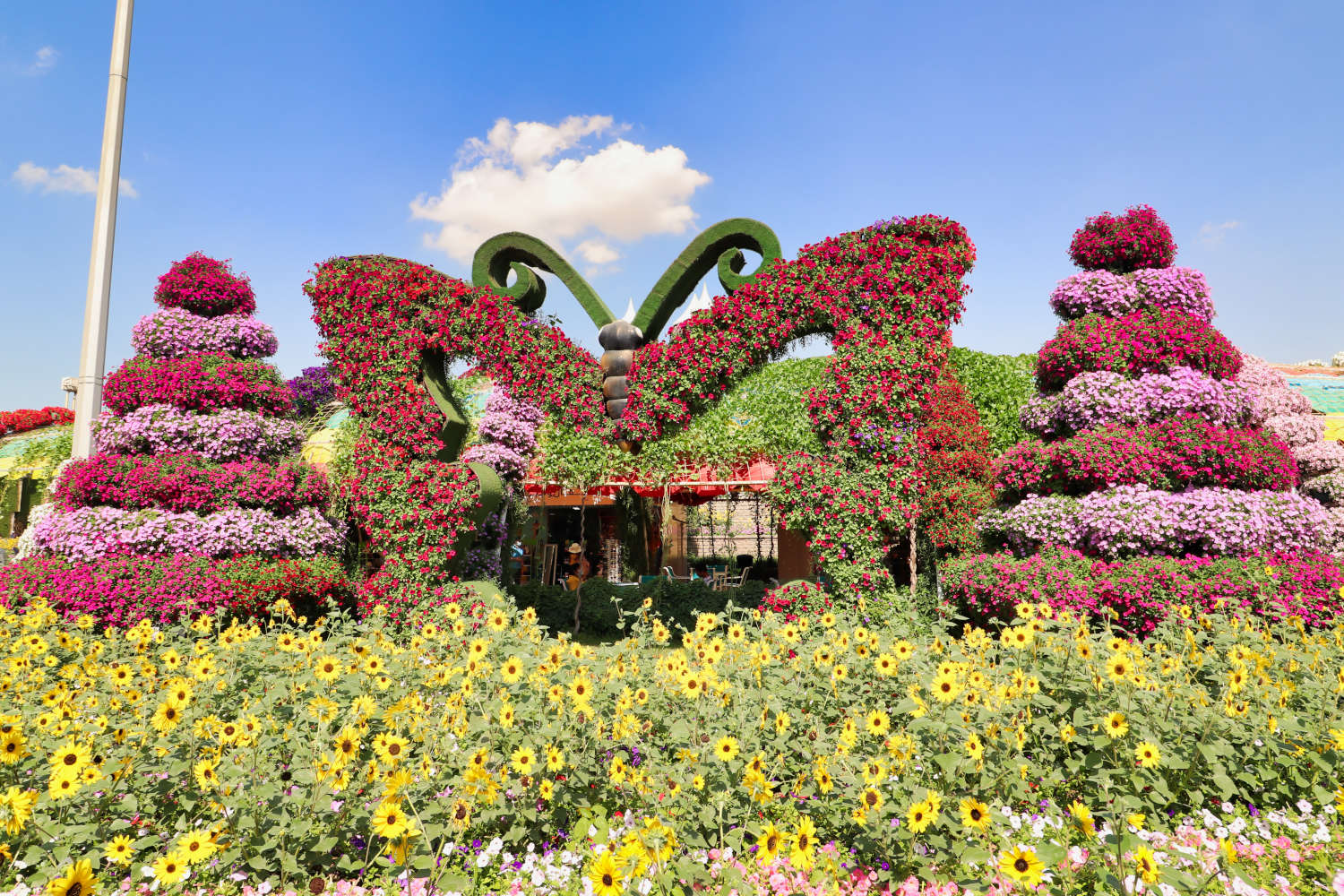 VAE - Dubai - Miracle Garden - Schmetterling