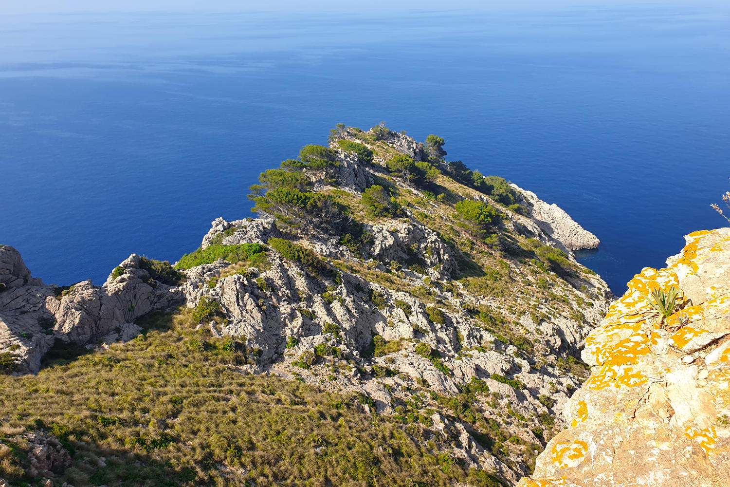 Spanien - Mallorca - Aussichtspunkt Cap Formentor - Die Natur