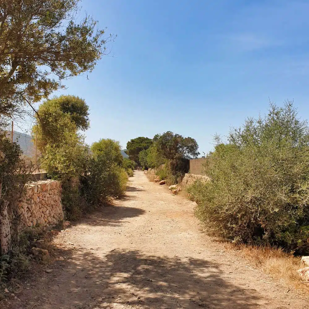 Spanien - Mallorca - Cala Varques - Wie kommt man hin 1