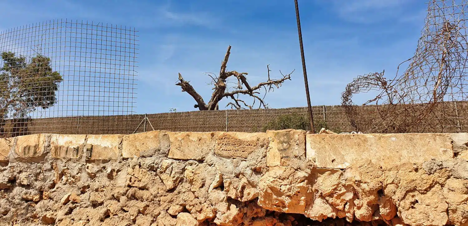 Spanien - Mallorca - Cala Varques - Wie kommt man hin 2