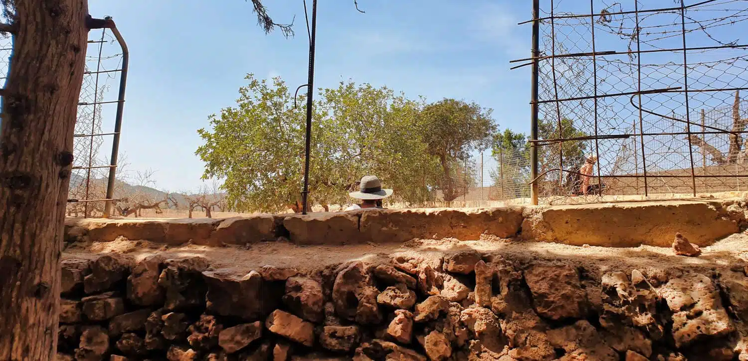 Spanien - Mallorca - Cala Varques - Wie kommt man hin 3