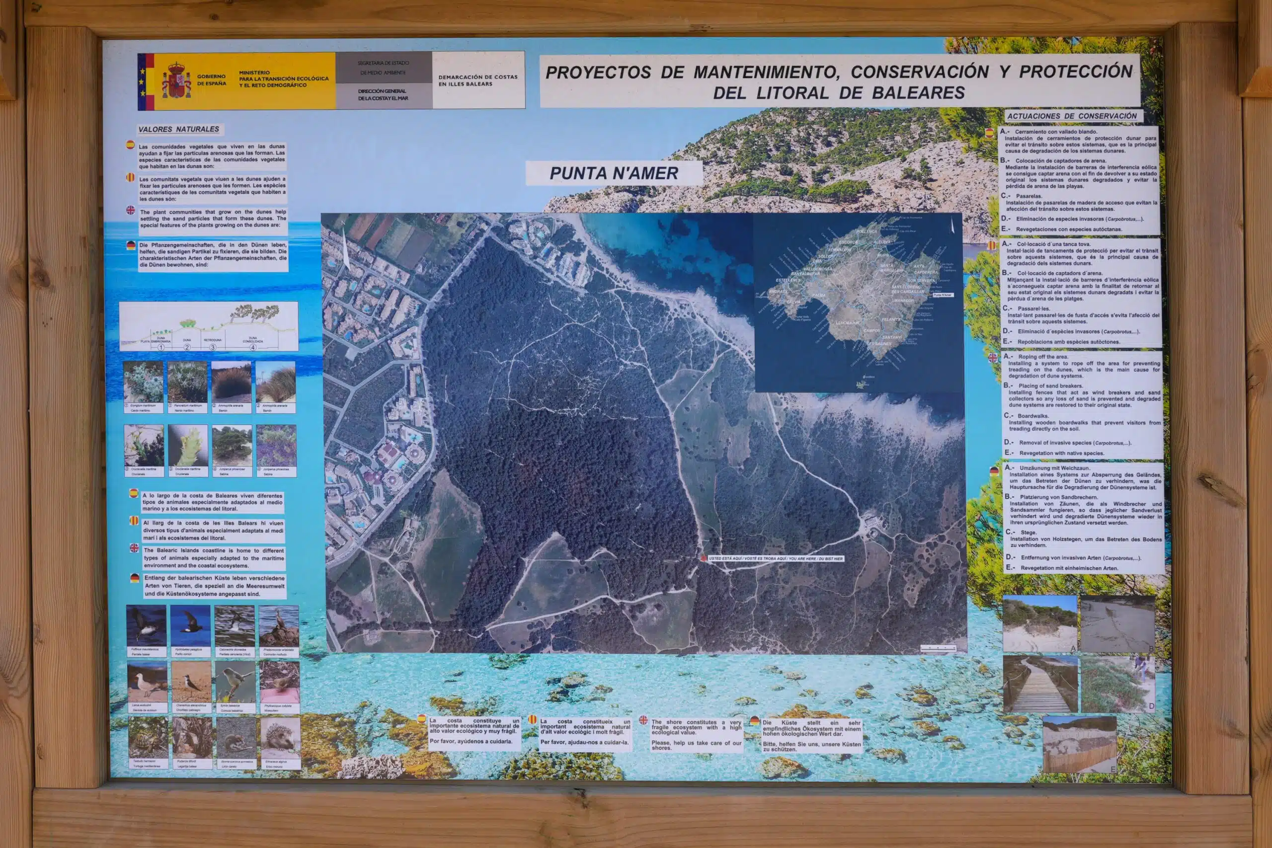Spanien - Mallorca - Punta de nAmer - Ueberblick