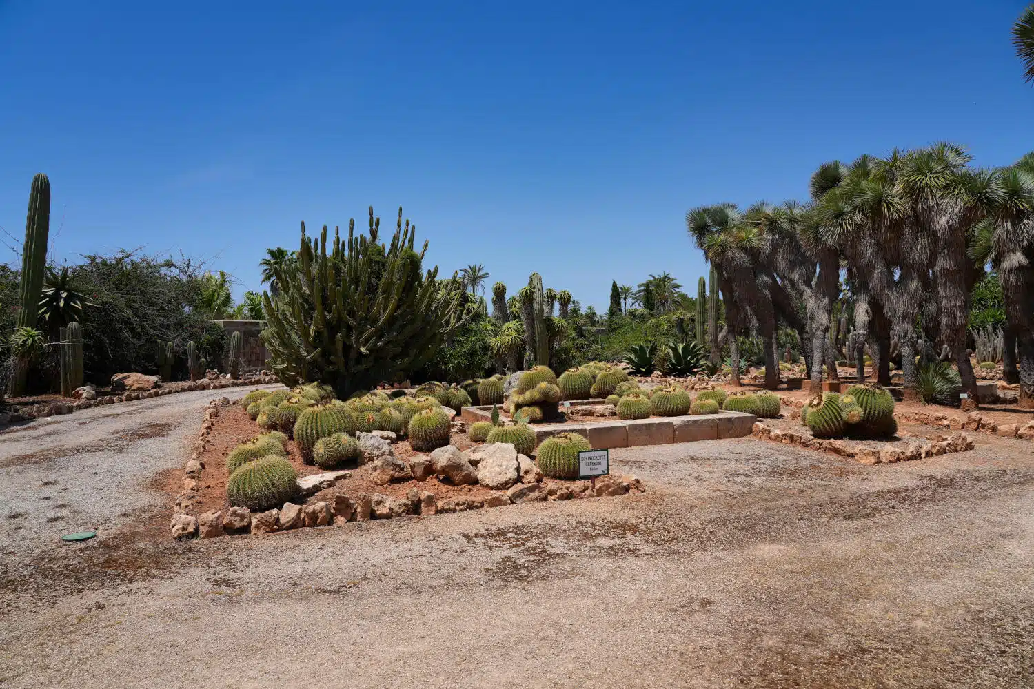 Spanien - Mallorca - Botanicactus - Der Park 1