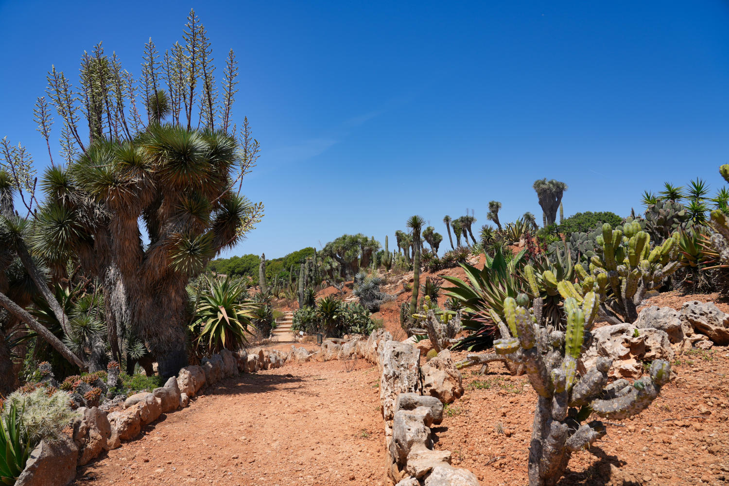 Spanien - Mallorca - Botanicactus - Der Park 2