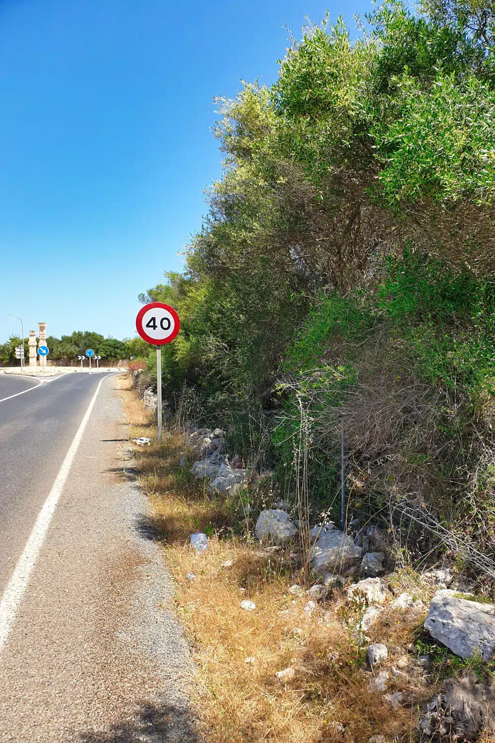 Spanien - Mallorca - Caballos de Rolf Schaffner - Der Weg - Ins Gebüsch