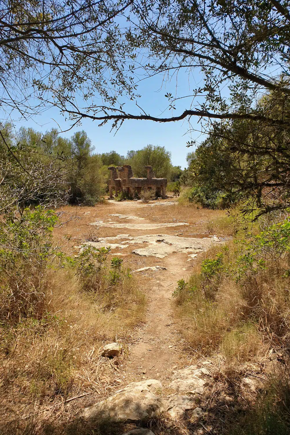 Spanien - Mallorca - Caballos de Rolf Schaffner - Der Weg - Trampelpfad