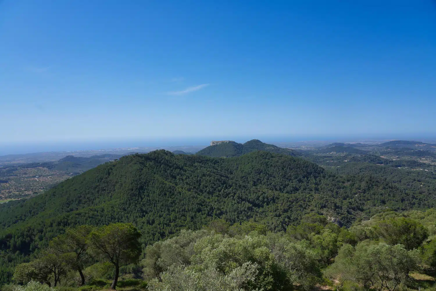 Spanien - Mallorca - Felanitx - Puig De Sant Salvador - Ausblick 2